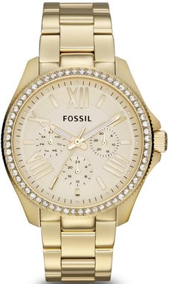 Fossil AM 4482