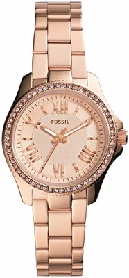Fossil AM 4578