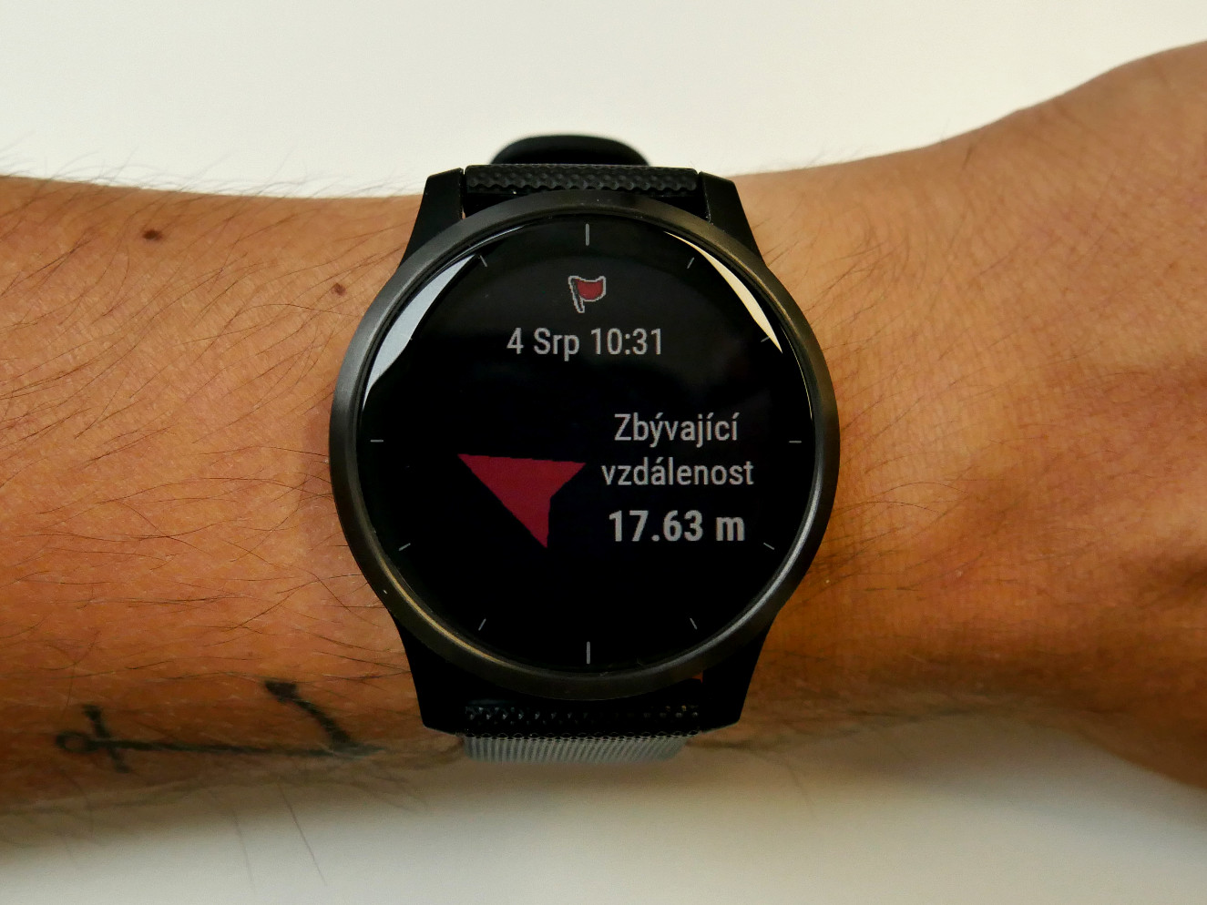 garmin vivoactive ski