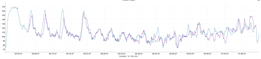 Silový tréning. Modrá – Coros Pace 4, fialová – Polar Verity Sense.