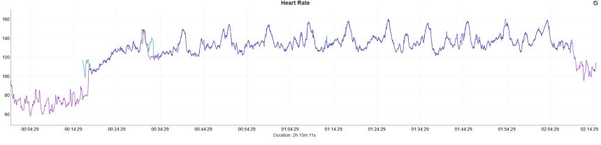 Modrá – Coros Pace 4, fialová – Polar Verity Sense.