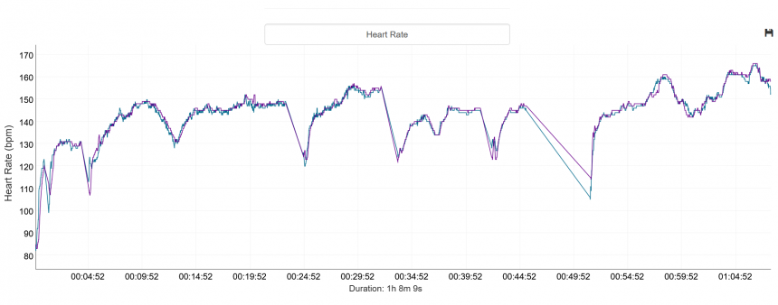 Modrá – hrudní pás, fialová – Forerunner 165