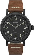 Timex Standard TW2T69300
