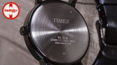 Timex T2N790