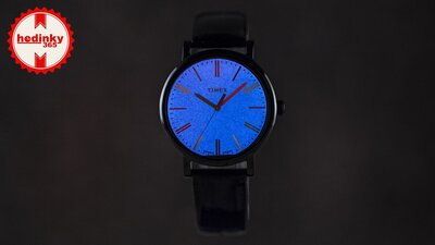 Timex T2N790