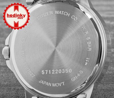 Citizen Basic BF2011-51AE