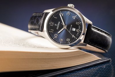 Festina Titanium Date 20469/2