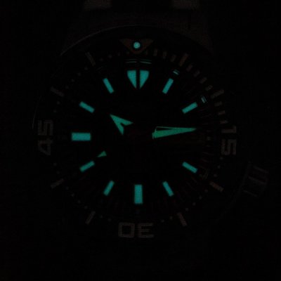 Seiko Prospex Sea Automatic Diver's SRPD25K1 "Monster"