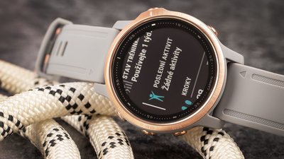 Garmin Fenix 6S PRO Sapphire, RoseGold/Gray Band (MAP/Music)