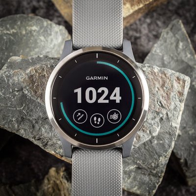 Garmin Vívoactive 4 Silver/Gray Band