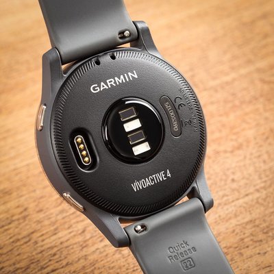 Garmin Vívoactive 4 Silver/Gray Band