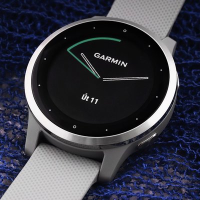 Garmin Vívoactive 4S Silver/Gray Band