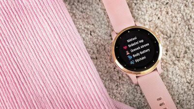 Garmin Vívoactive 4S LightGold/Pink Band