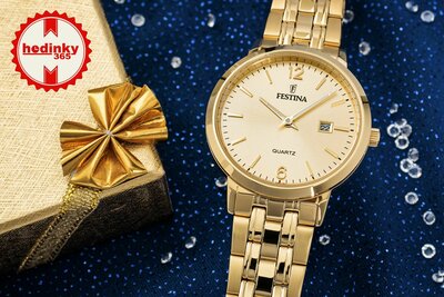 Festina Classic Bracelet 20514/3 (II. Akosť)