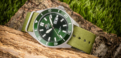Nylonový remienok Ricardo Kronplatz, Green V1, NATO