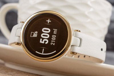 Garmin Lily Classic Light Gold / White, Leather Band