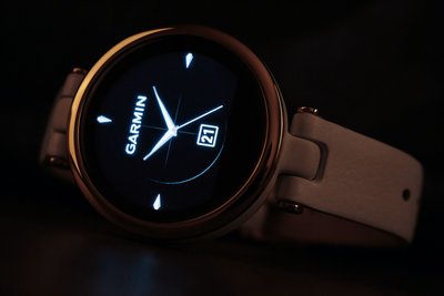 Garmin Lily Classic Light Gold / White, Leather Band