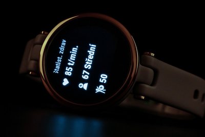 Garmin Lily Sport Rose Gold / Light Sand, Silicone Band