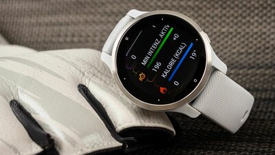 Garmin Venu 2S Silver/Gray Band
