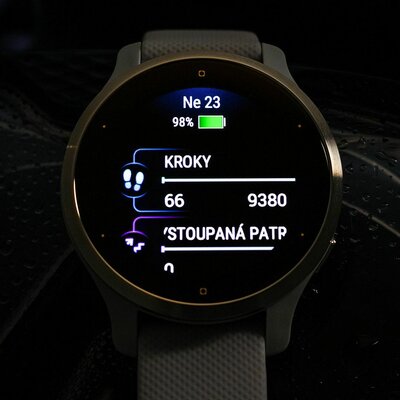 Garmin Venu 2S Silver/Gray Band