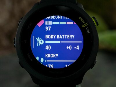 Garmin Forerunner 55 Black