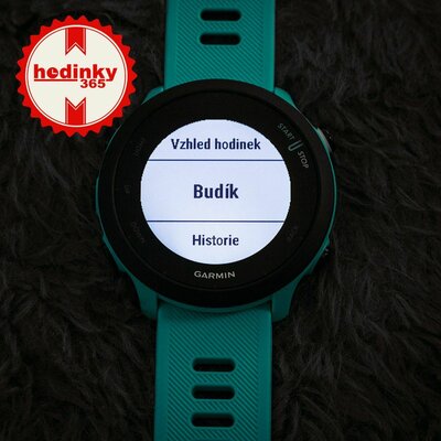 Garmin Forerunner 55 Blue