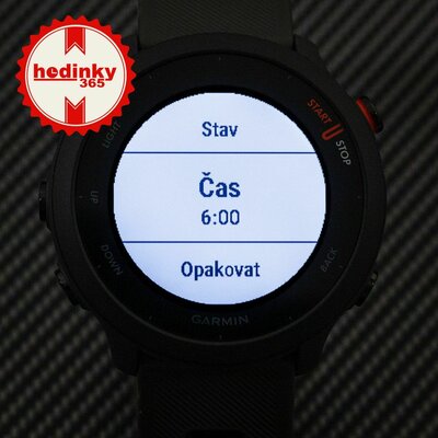 Garmin Forerunner 55 Grey