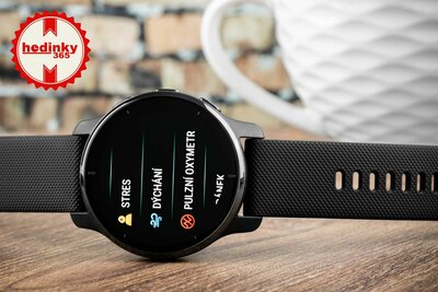 Garmin Venu 2 Plus Slate / Black band