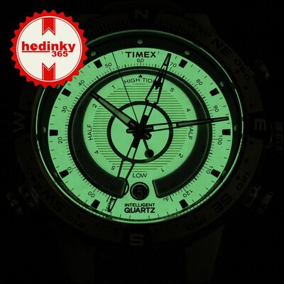 Timex Expedition T2N721UK