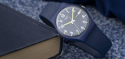 Swatch Skin Classic SO28N702