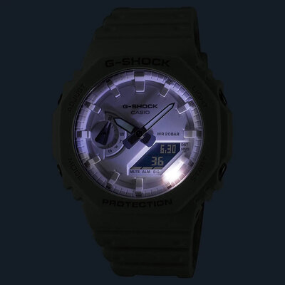 Casio G-Shock Original Tone-on-Tone GA-2100-7A7ER