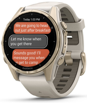 (SK) Garmin Fenix 8 AMOLED 43mm, Sapphire Soft Gold Stainless Steel Fog Gray