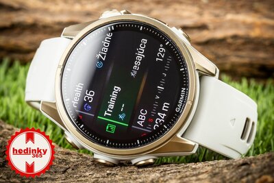 (SK) Garmin Fenix 8 AMOLED 43mm, Sapphire Soft Gold Stainless Steel Fog Gray