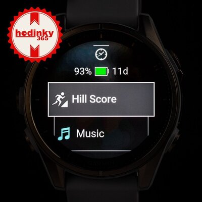 (SK) Garmin Fenix 8 AMOLED 43mm, Sapphire Soft Gold Stainless Steel Fog Gray