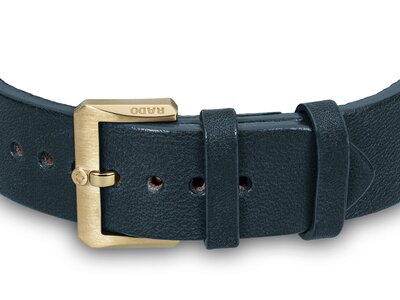 Rado Captain Cook Bronze Automatic R32504205