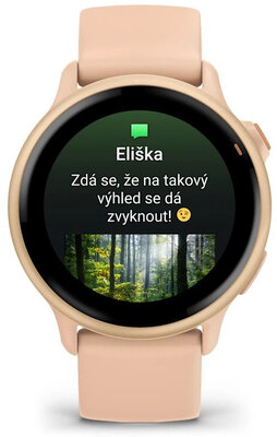 Garmin Vívoactive 6, Metallic Pink Dawn / Pink Dawn, Silicone Band