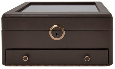 Kazeta na hodinky Wolf Earth 190706