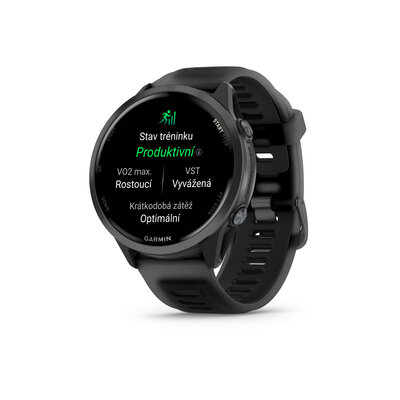 (SK) Garmin Forerunner 570 (47mm), Slate Gray, Translucent Black