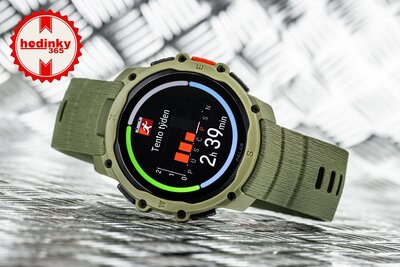 Polar Street X Forest Green