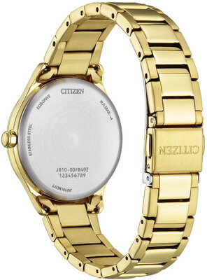 Citizen Elegant Eco-Drive FE6122-64A