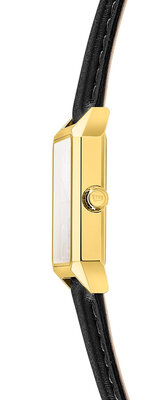 Festina Classic 20780/1