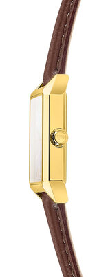 Festina Classic 20780/3