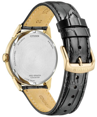 Citizen Elegant Eco-Drive AW0153-04AC