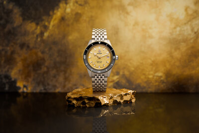 Rado Captain Cook Automatic R32223258 (+ náhradný remienok)