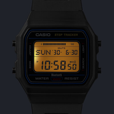 Casio Vintage F-B100W-1AEF