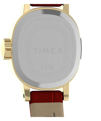 Timex Cavatina Mini TW2Y87900