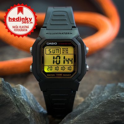 Casio Collection W-800HG-9AVES