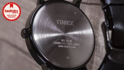 Timex T2N790