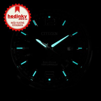 Citizen Elegant Eco-Drive Global Radiocontrolled CB0010-88E
