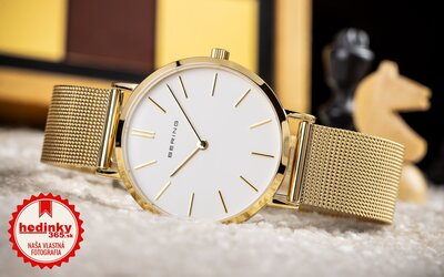 Bering Classic 14134-331